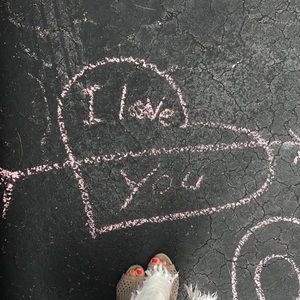 Meet your Posher, Kelly